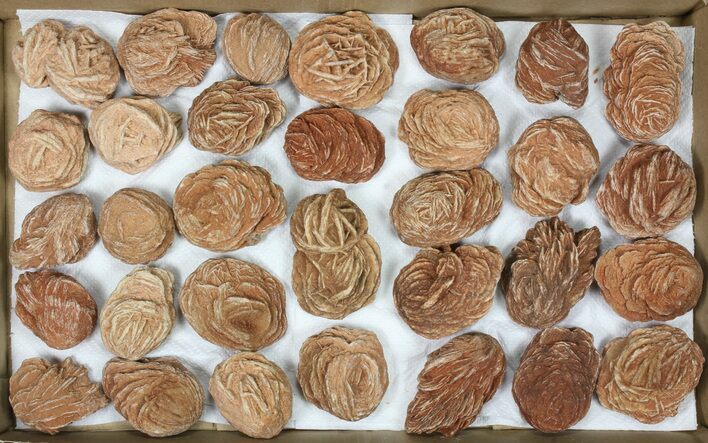 Flat: Desert Roses From Morocco ( to ) - Pieces #82746